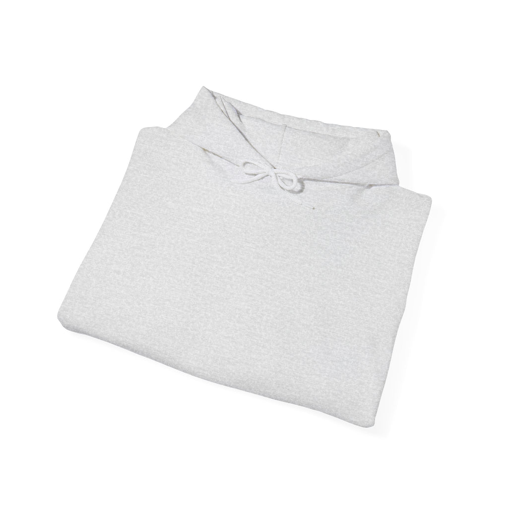 A Kinder World Starts with Braver Conversations Hoodie